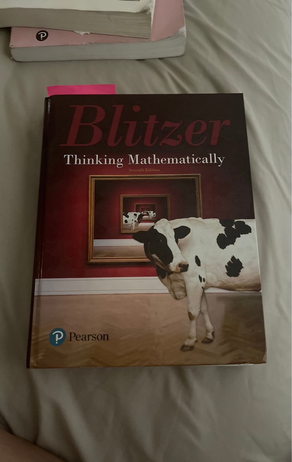 Blitzer thinking mathematically