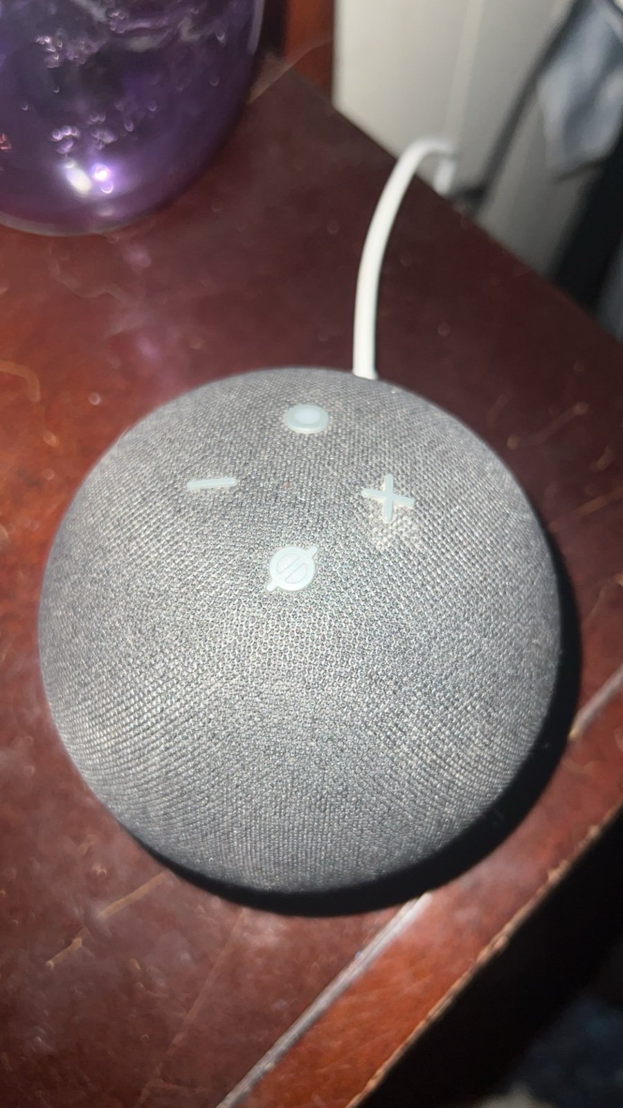 Echo Dot