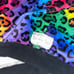 Cozy Pullover - rainbow leopard print squish