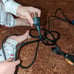 Insight projector