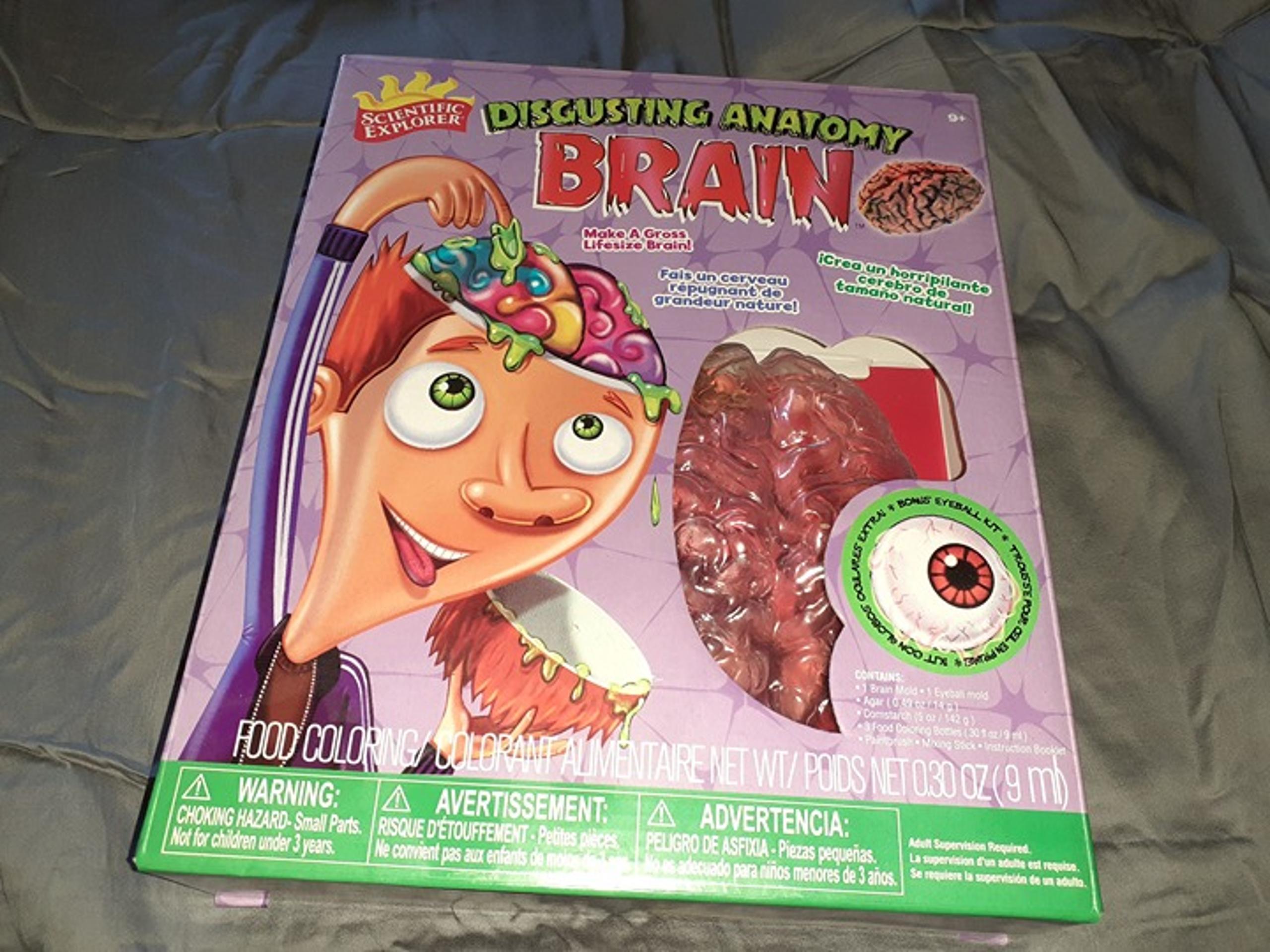 EDUCATIONAL TOYS: Scientific Explorer Anatomy Brain