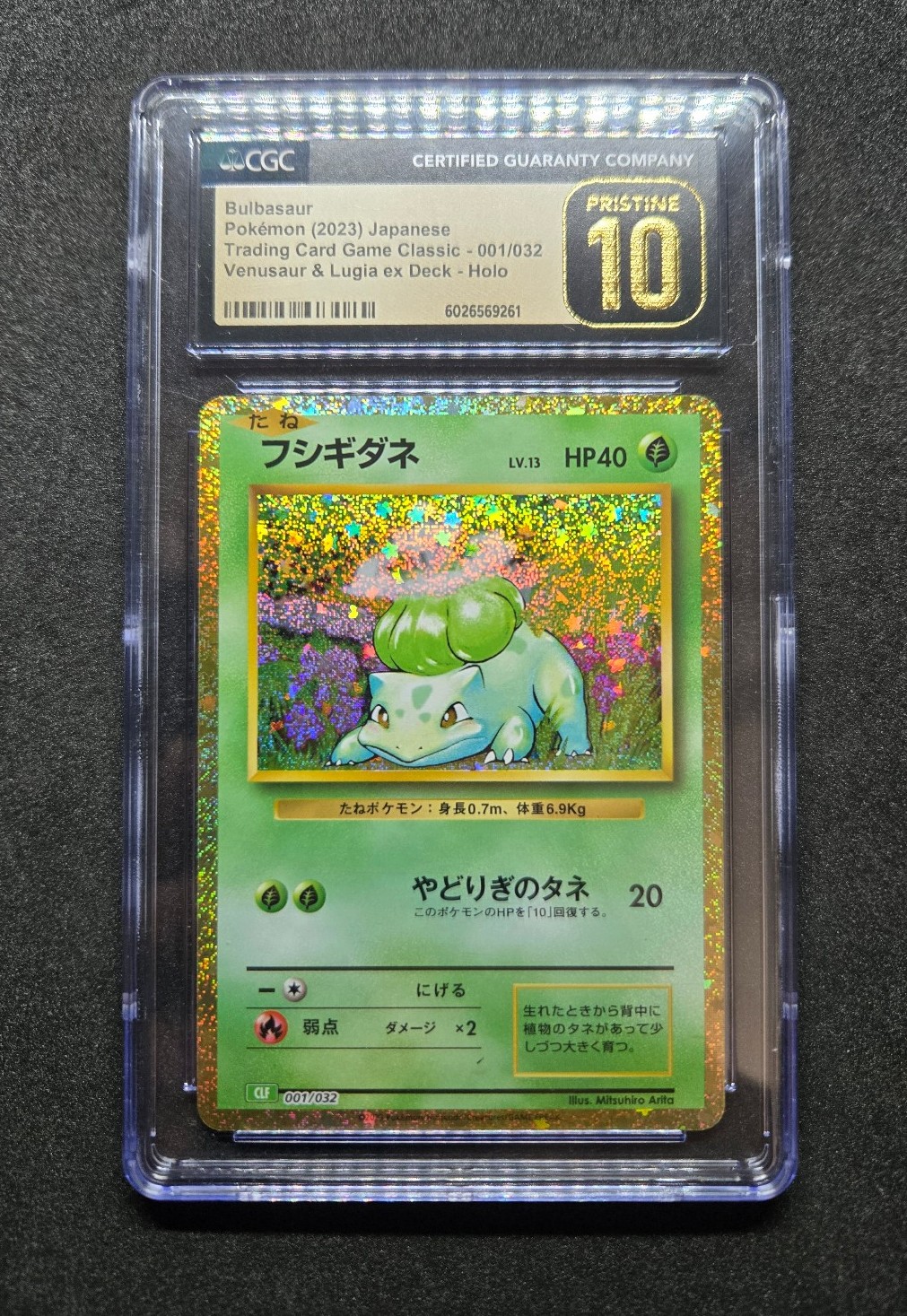 ポケモンセンター・ジムセット クレイバースト&スノーハザード