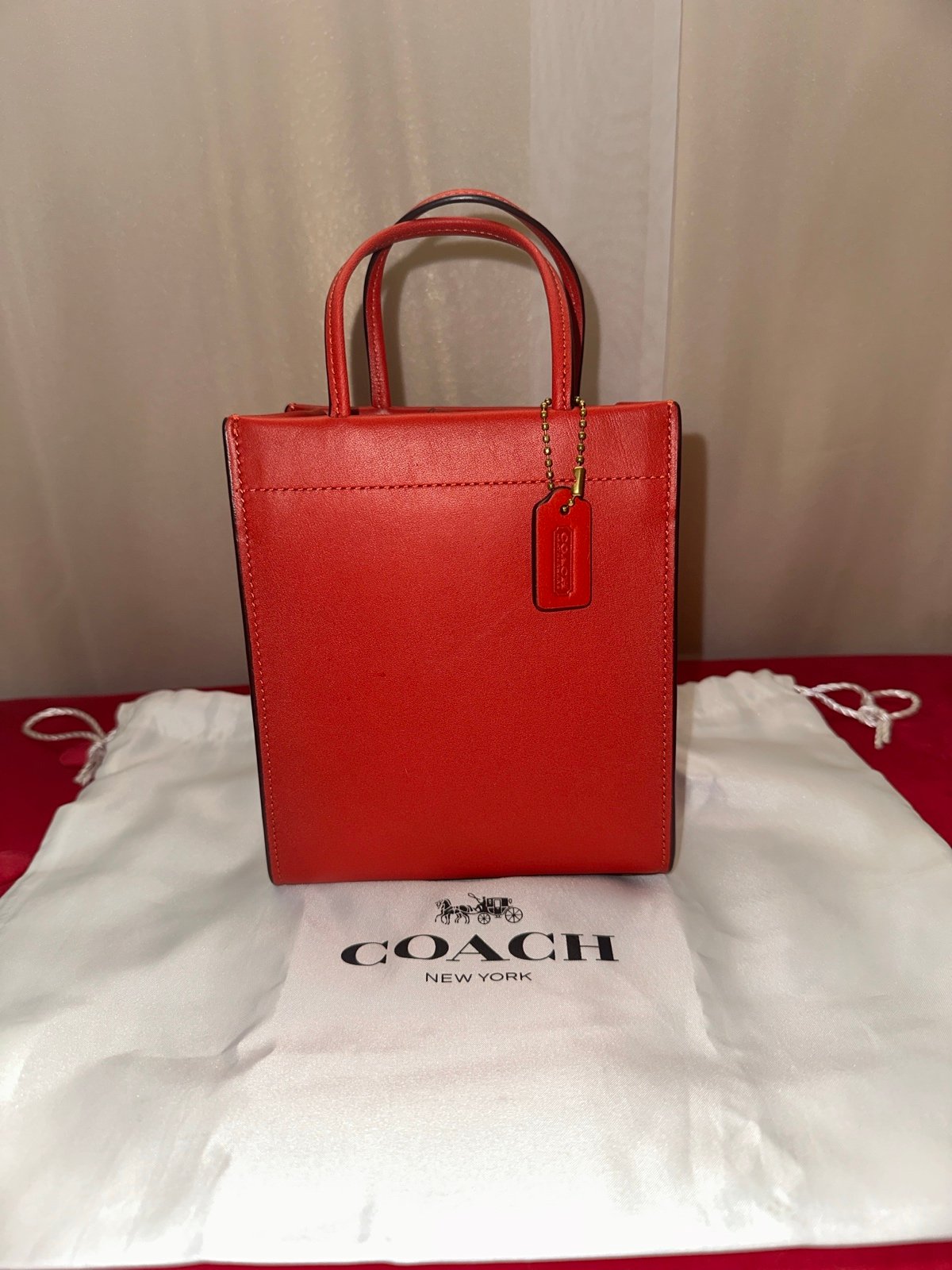 Coach Cashin tote