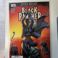 Black Panther 3 Dark Reign comic