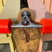 Loaded Boards Vanguard Longboard 38” Flex 3 Complete with Orangatang Knuckles!