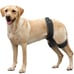 CHAMIN/RISURRY Dog Hip Orthotics Brace Dog Hip Dysplasia Brace Harness Support f