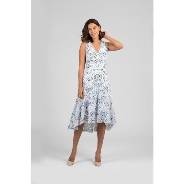 Taylor V Neck Floral Printed Lace Dress