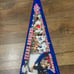 American League Champions Texas Rangers 2010 Pennant