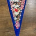 American League Champions Texas Rangers 2010 Pennant
