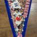 American League Champions Texas Rangers 2010 Pennant