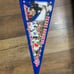 American League Champions Texas Rangers 2010 Pennant