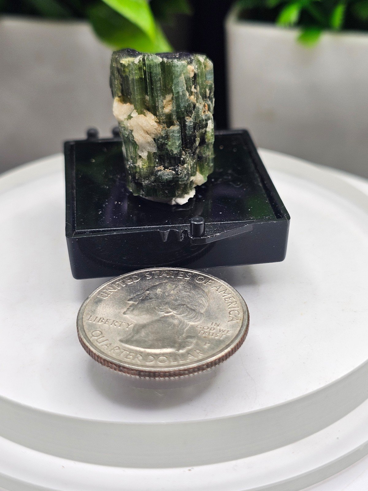 Bi-Color Tourmaline (cat's eye)