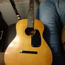 Vintage Lyle GUITAR