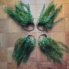 4x Faux Plants in Wicker Wall Decor