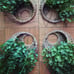 4x Faux Plants in Wicker Wall Decor