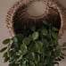 4x Faux Plants in Wicker Wall Decor