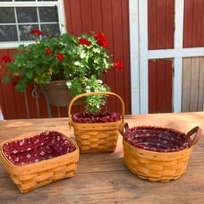 Longaberger Basket bundle