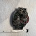 Buckle & co. Mens Brass Belt Buckle. NEW