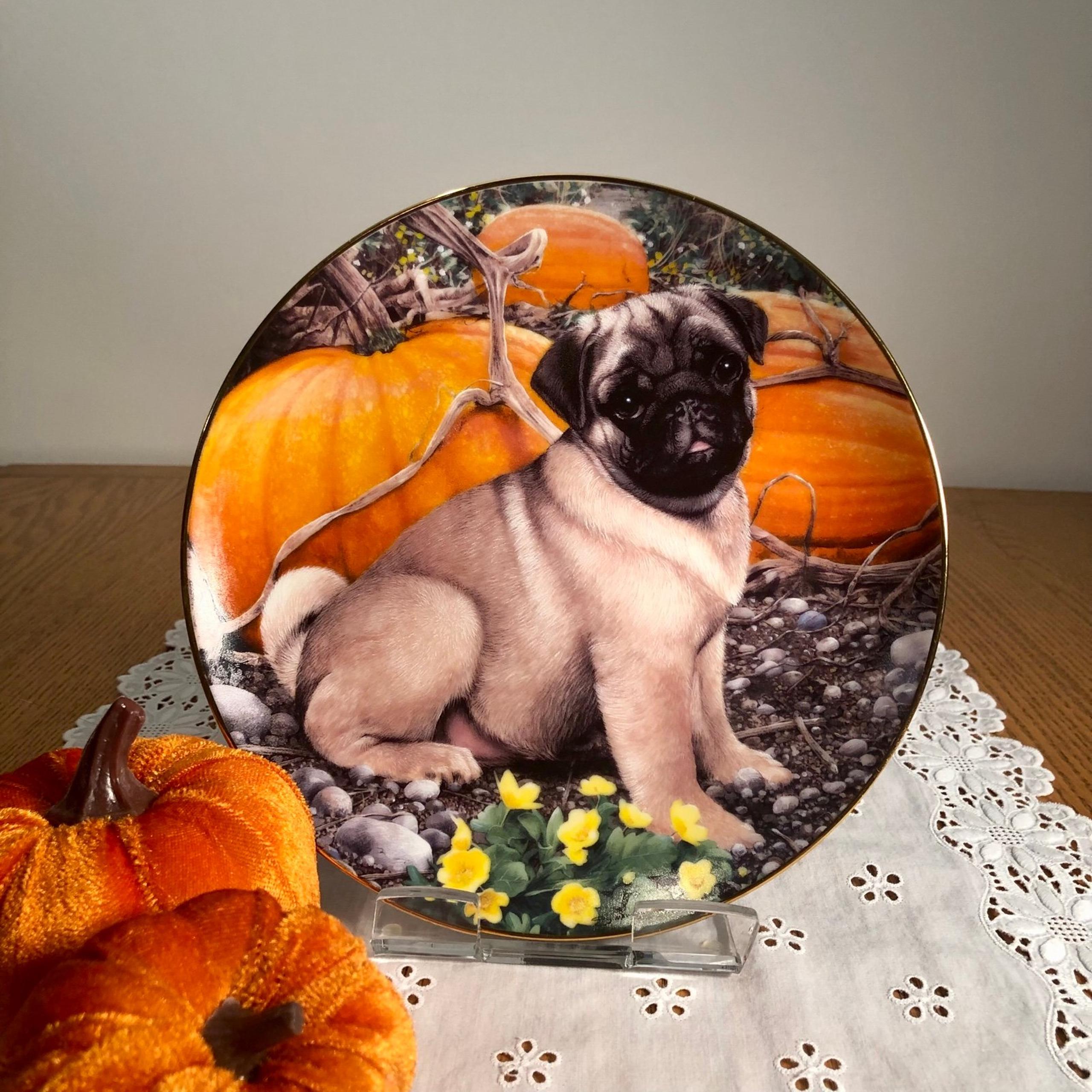 Pumpkin Patch Pug dog decorative plate wall hanging home decor by Danbury Mint