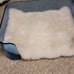Acrylic dog bed - luxury design