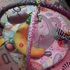 Fisher-Price Snugamonkey Gym