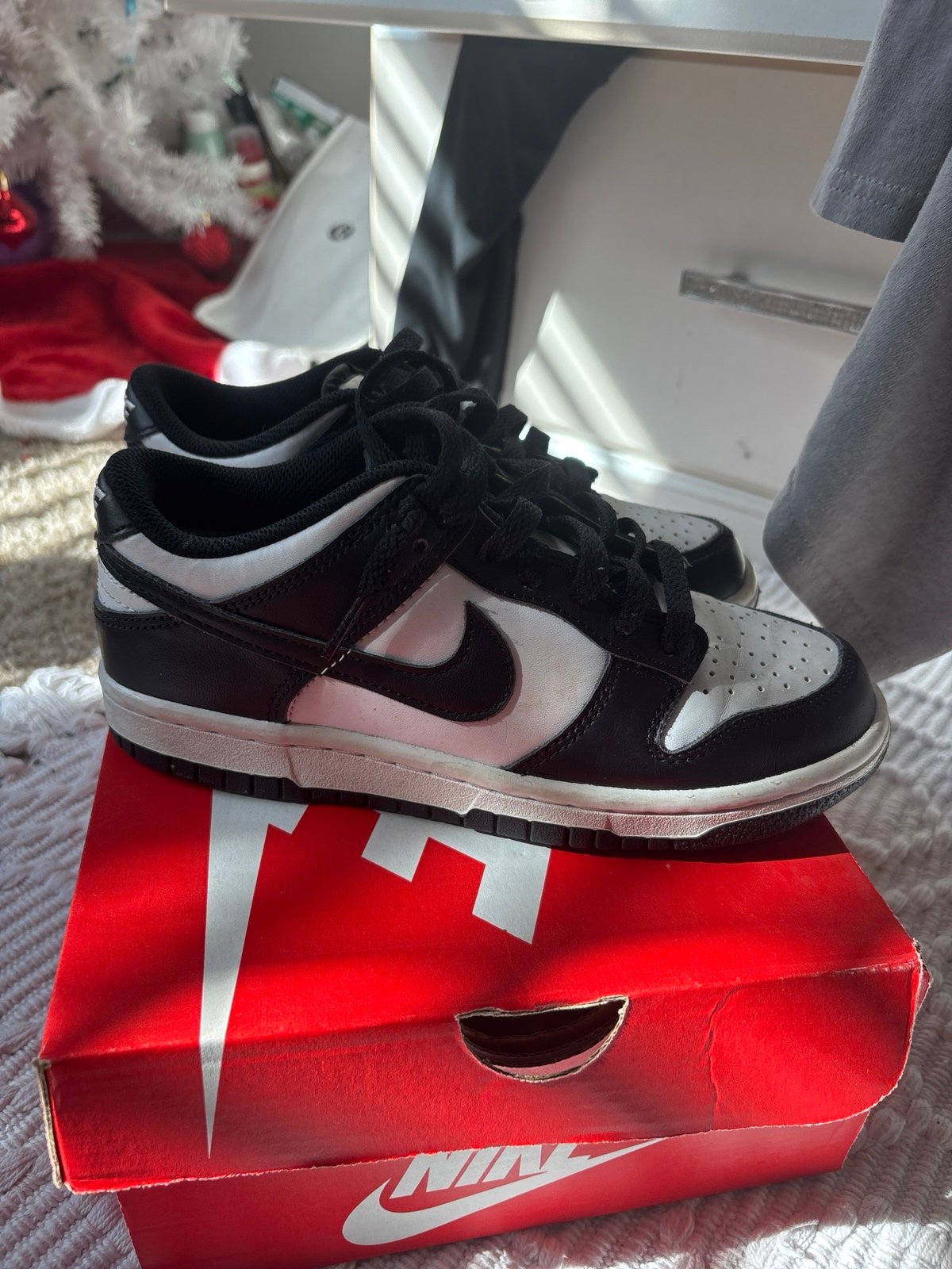 Nike Dunk