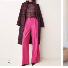 Ann Taylor Pleated Wide Leg Trousers