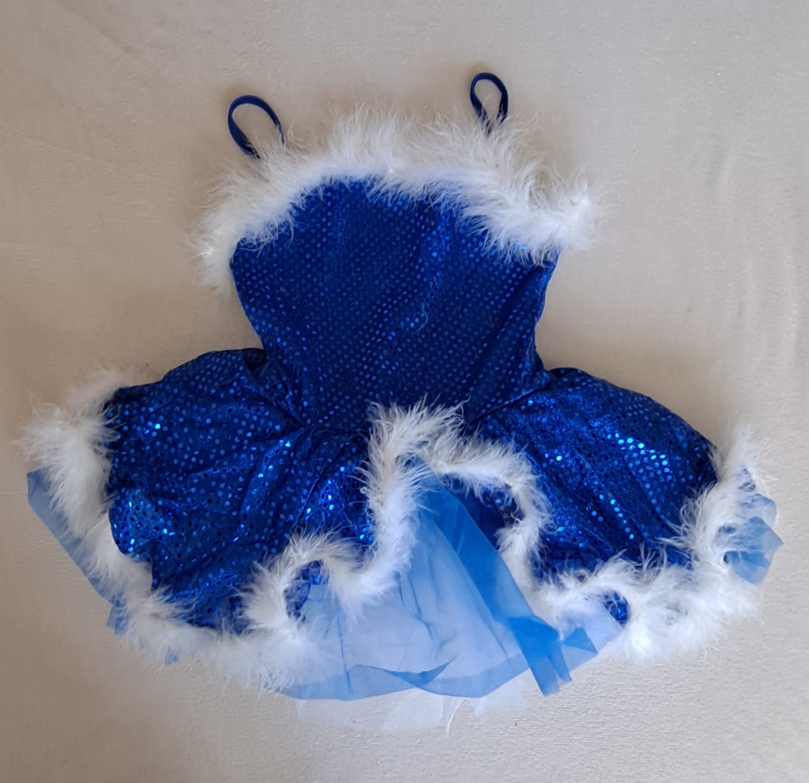 Ballet costume