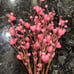 6 Pcs Valentine’s Day Gifts, Artificial Berry Flower Stems with Pink Heart Shape