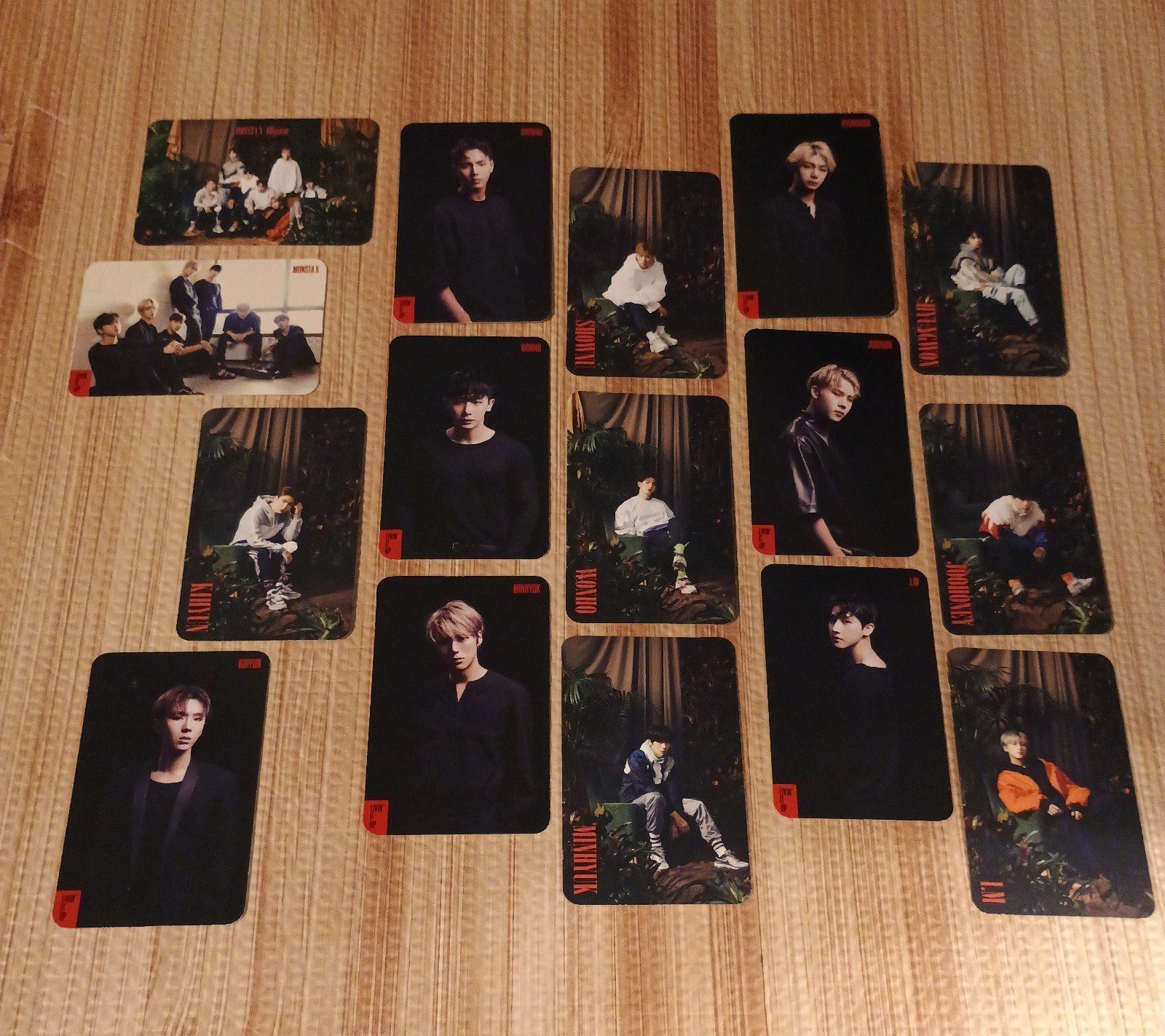 Monsta X Japan Alligator Livin' it up PC set (16)