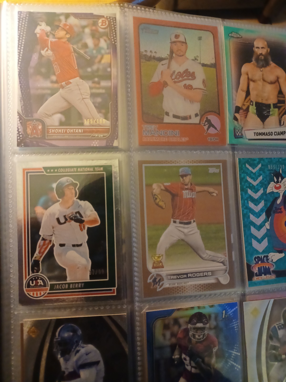 Great Sports Card Investment RC Lot Rookie Veteran Limited Numbered SP Parallel