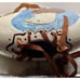 Vintage Native American Eagle Pottery Vase Water Jug 10.5 x 9.75