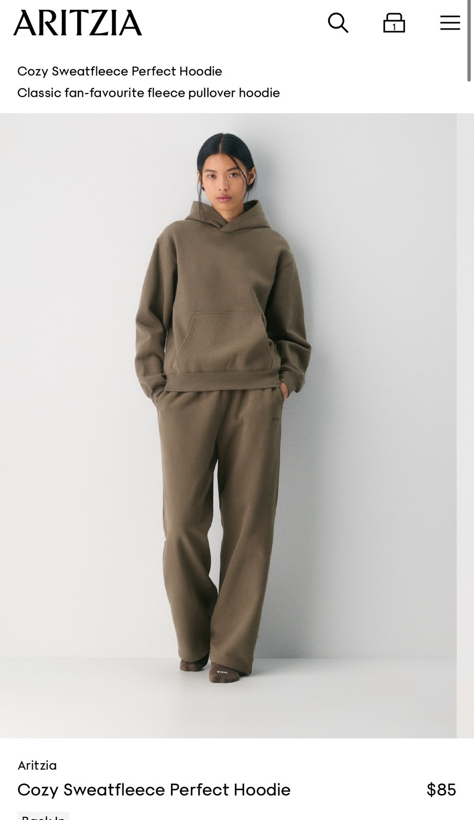 Aritzia cozy sweat fleece perfect hoodie
