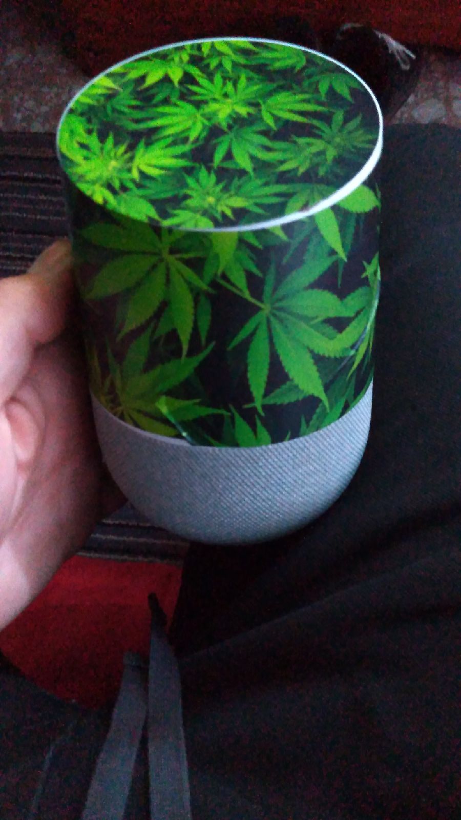 Google home
