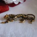 TIGER VINTAGE BROOCH WITH CRYSTALS