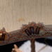 Carousal Horse Lamp w/Shade