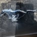 Mustang Emblem