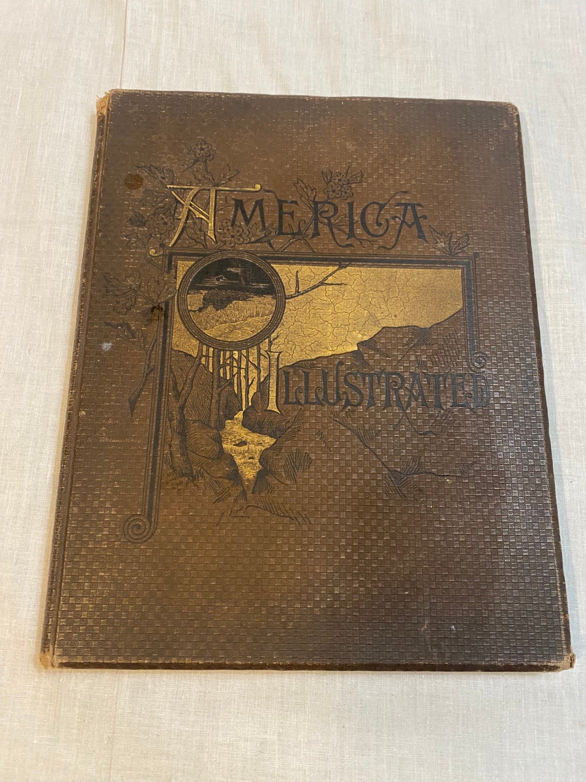 America Illustrated by J David Williams 1883 Engravings Illustrations Hardcover