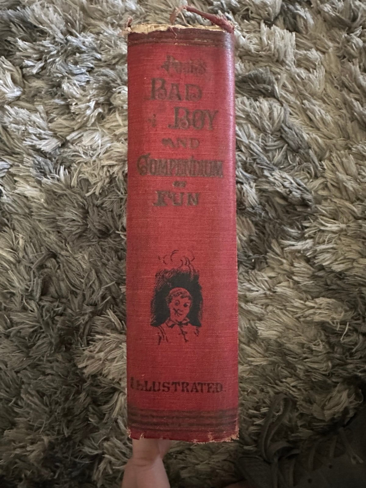 1900 Vintage Novel