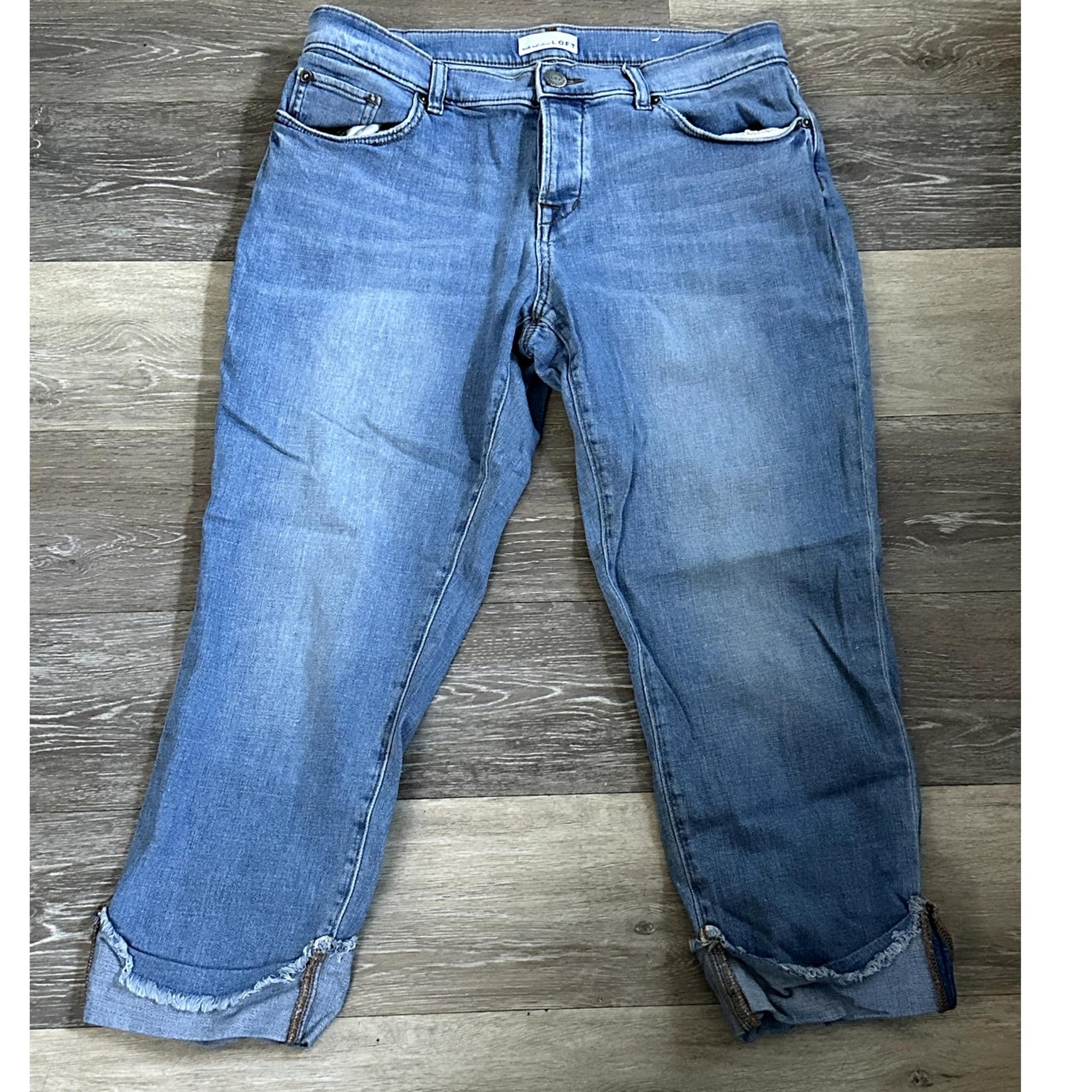 Loft Crop Pants Button Fly Size 8 Petite 29