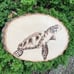 Wood burn sea turtle wall art