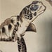 Wood burn sea turtle wall art