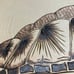 Wood burn sea turtle wall art