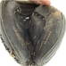 All Star CM1010 HB 31 Young Pro Series Youth Baseball Catchers Mitt RH