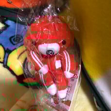 Spokane Mascot Rare Retro Red Jersey (Viewing)