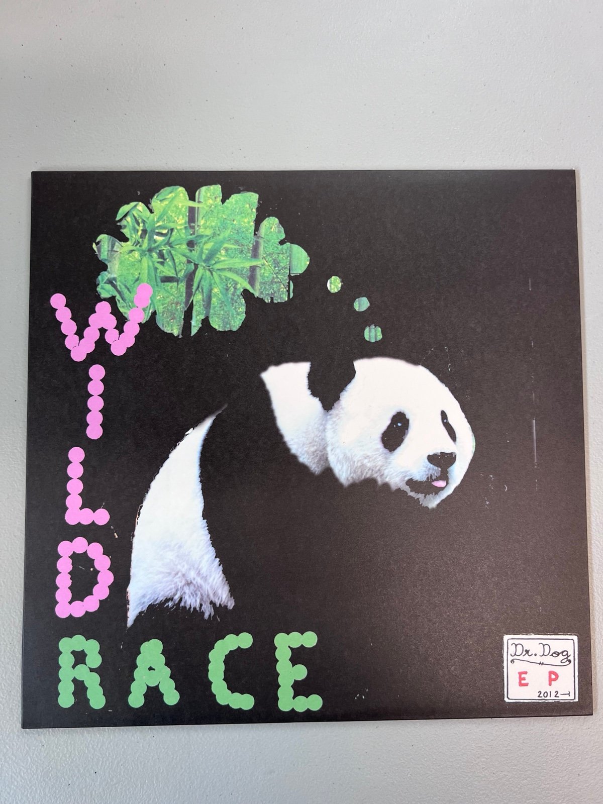 Dr Dog Wild Race Vinyl Record Store Day