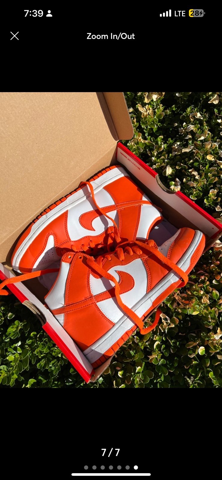 Nike dunks