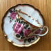 ADDERLEY Fine Bone China - teacup and saucer