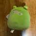 NEW Squishmallows Frog Heart Wendy Valentine's Halloween Easter Bucket Basket