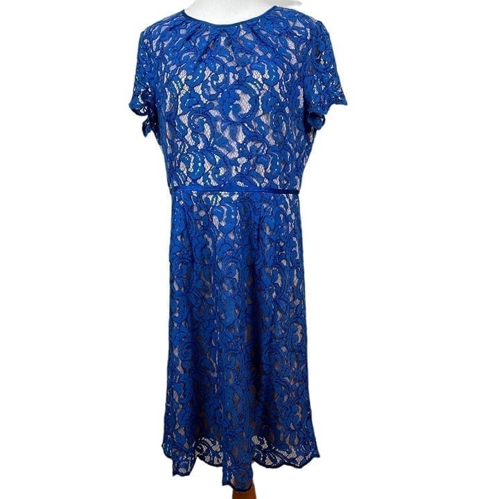 Adrianna Papell Dress 14 Blue Lace Lined Scalloped Hem Zip Knee Length A-Line